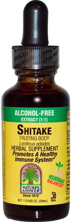 Shitake Fruiting Body, Alcohol-Free, 1 fl oz (30 ml) by Natures Answer-Kosttillskott, Medicinska Svampar, Shiitake Svampar, Adaptogen
