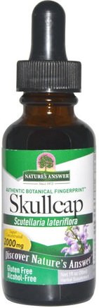 Skullcap, Alcohol-Free, 2000 mg, 1 fl oz (30 ml) by Natures Answer-Örter, Skullcap