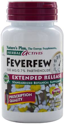 Herbal Actives, Feverfew, Extended Release, 500 mg, 60 Tabs by Natures Plus-Örter, Feverfew