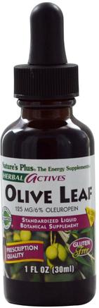 Herbal Actives, Olive Leaf, Alcohol Free, 1 fl oz (30 ml) by Natures Plus-Hälsa, Kall Influensa Och Viral, Olivblad