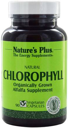 Natural Chlorophyll, 90 Veggie Caps by Natures Plus-Örter, Alfalfa, Klorofyll