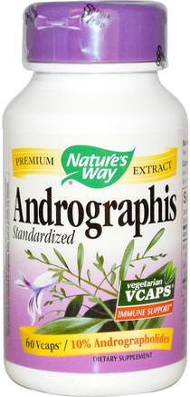 Andrographis, Standardized, 60 Veggie Caps by Natures Way-Kosttillskott, Antibiotika