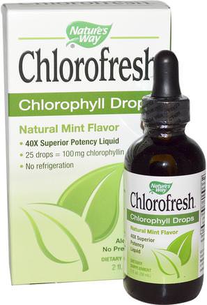 Chlorofresh, Chlorophyll Drops, Natural Mint Flavor, 2 fl oz (59 ml) by Natures Way-Kosttillskott, Klorofyll