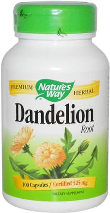 Dandelion Root, 525 mg, 100 Capsules by Natures Way-Örter, Maskrosrot