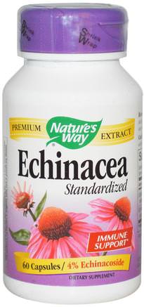 Echinacea, Standardized, 60 Capsules by Natures Way-Kosttillskott, Antibiotika