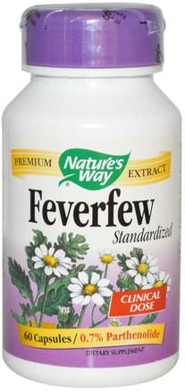 Feverfew, Standardized, 60 Capsules by Natures Way-Hälsa, Huvudvärk