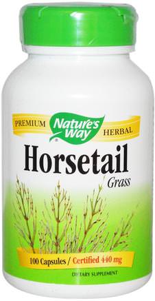 Horsetail Grass, 440 mg, 100 Capsules by Natures Way-Kosttillskott, Örter, Hästslag