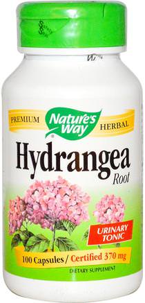 Hydrangea Root, 370 mg, 100 Capsules by Natures Way-Kosttillskott, Örter