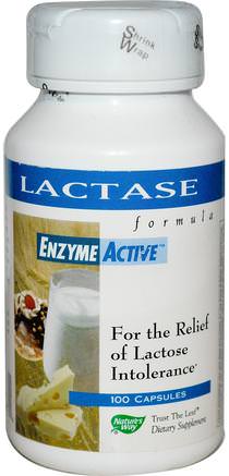 Lactase Formula EnzymeActive, 100 Capsules by Natures Way-Kosttillskott, Enzymer