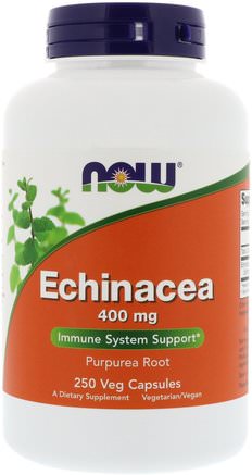 Echinacea, 400 mg, 250 Veg Capsules by Now Foods-Kosttillskott, Antibiotika, Echinacea
