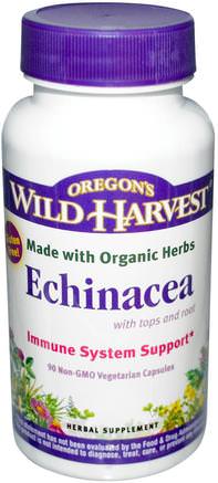 Echinacea, with Tops and Root, 90 Non-GMO Veggie Caps by Oregons Wild Harvest-Kosttillskott, Antibiotika, Tabletter Av Echinacea Kapslar
