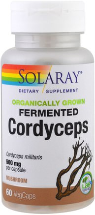 Organic Grown Fermented Cordyceps, 500 mg, 60 Veggie Caps by Solaray-Kosttillskott, Medicinska Svampar