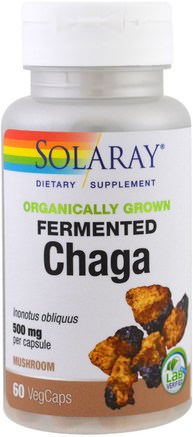 Organically Grown Fermented Chaga, 60 Veggie Caps by Solaray-Kosttillskott, Medicinska Svampar