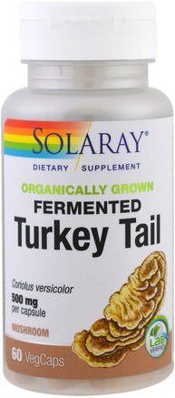Organically Grown Fermented Turkey Tail, 60 Veggie Caps by Solaray-Kosttillskott, Medicinska Svampar