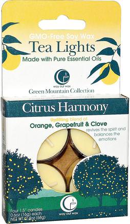 Tea Lights, Citrus Harmony, 4 Candles, 0.6 oz (16 g) Each by Way Out Wax-Bad, Skönhet, Ljus