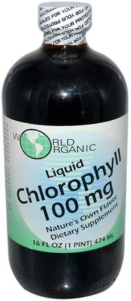 100 mg, 16 fl oz (474 ml) by World Organic Liquid Chlorophyll-Kosttillskott, Klorofyll