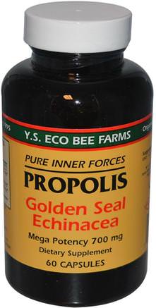 Propolis, Golden Seal Echinacea, 60 Capsules by Y.S. Eco Bee Farms-Kosttillskott, Antibiotika, Echinacea, Bi Propolis