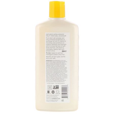 Schampo, Hårvård, Bad: Andalou Naturals, Shampoo, Brilliant Shine, For Strength and Vitality, Sunflower & Citrus, 11.5 fl oz (340 ml)