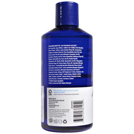 Hårbottenvård, Hår, Schampo, Hårvård: Avalon Organics, Scalp Normalizing Shampoo, Tea Tree Mint Therapy, 14 fl oz (414 ml)