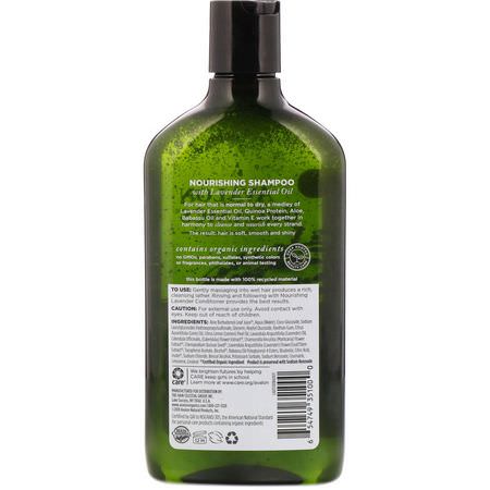 Schampo, Hårvård, Bad: Avalon Organics, Shampoo, Nourishing, Lavender, 11 fl oz (325 ml)
