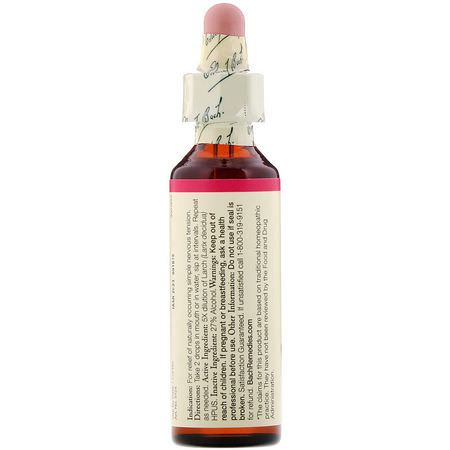 Larix Larch Extract, Flower, Homeopati, Örter: Bach, Original Flower Remedies, Larch, 0.7 fl oz (20 ml)