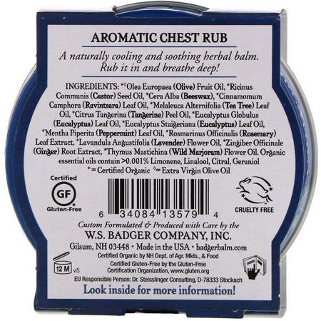 Salvor, Tematik, Första Hjälpen, Medicinskåpet: Badger Company, Aromatic Chest Rub, Eucalyptus & Mint, 2 oz (56 g)