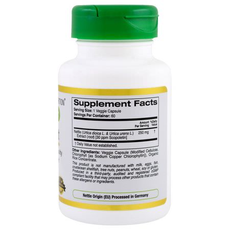 Nässlor, Homeopati, Örter: California Gold Nutrition, Nettle Root Extract, EuroHerbs, 250 mg, 60 Veggie Caps