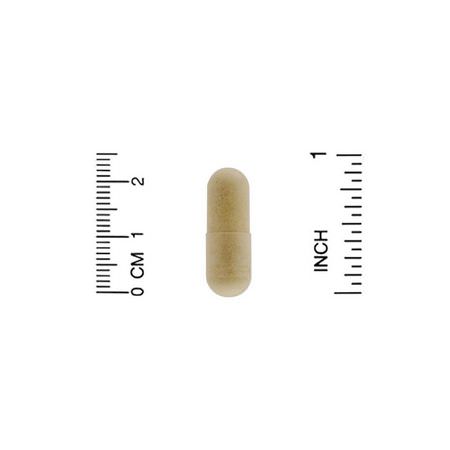 California Gold Nutrition CGN Sea Mussel Ginger Root - Ingefära Rot, Homeopati, Örter, Havmussel