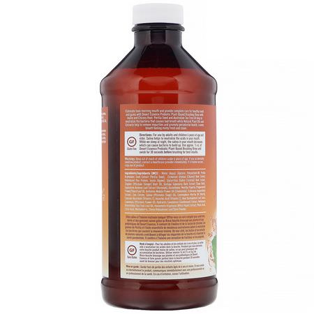 Spray, Skölj, Munvatten, Munvård: Desert Essence, Prebiotic, Plant-Based Brushing Rinse, Gingermint, 15.8 fl oz (467 ml)