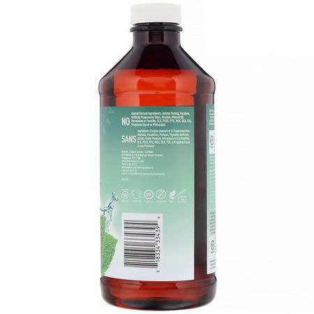 Spray, Skölj, Munvatten, Munvård: Desert Essence, Prebiotic, Plant-Based Brushing Rinse, Mint, 15.8 fl oz (467 ml)