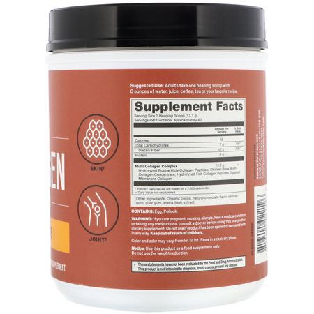 Protein, Sportsnäring, Kollagentillskott, Fog: Dr. Axe / Ancient Nutrition, Multi Collagen Protein, Chocolate, 1.2 lbs (525 g)
