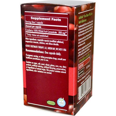 Tranbär, Homeopati, Örter: Enzymatic Therapy, ActiFruit Cranberry Supplement, 30 Veggie Caps