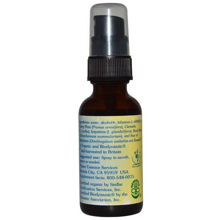 Blomma, Homeopati, Örter: Flower Essence Services, Five-Flower Formula, Flower Essence Spray, 1 fl oz (30 ml)
