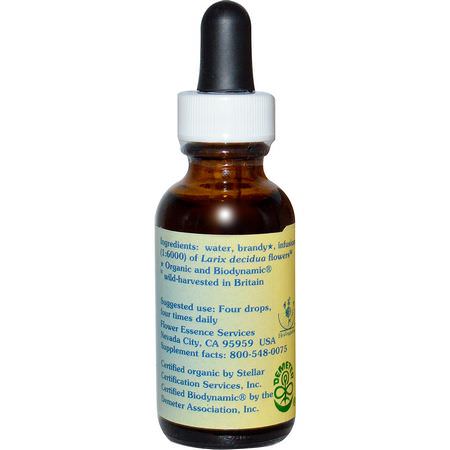 Blomma, Homeopati, Örter: Flower Essence Services, Larch, Flower Essence, 1 fl oz (30 ml)
