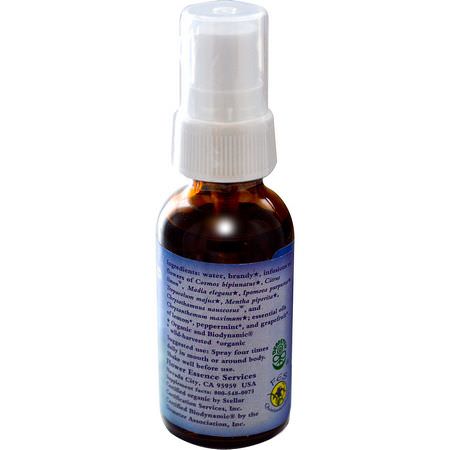 Blomma, Homeopati, Örter: Flower Essence Services, Mind-Full, Flower Essence & Essential Oil, 1 fl oz (30ml)