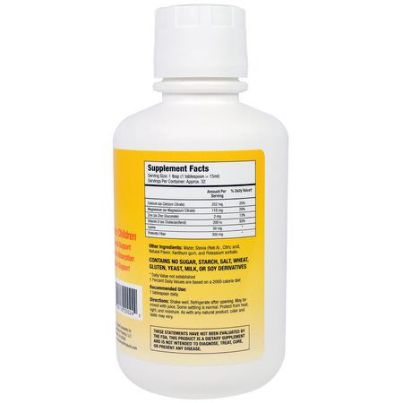 Barnkalcium, Barns Hälsa, Barn, Baby: GreenPeach, Kids, Calcium Magnesium + Zinc, Orange Flavor, 16 fl oz (473 ml)