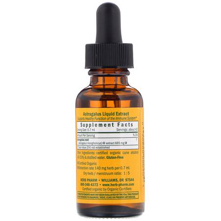 Astragalus, Homeopati, Örter: Herb Pharm, Astragalus, 1 fl oz (30 ml)