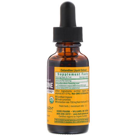 Celandine, Homeopati, Örter: Herb Pharm, Celandine, 1 fl oz (30 ml)