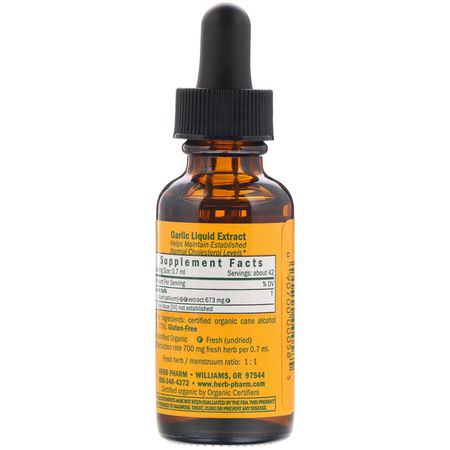 Vitlök, Homeopati, Örter: Herb Pharm, Garlic, Allium Sativum, 1 fl oz (30 ml)
