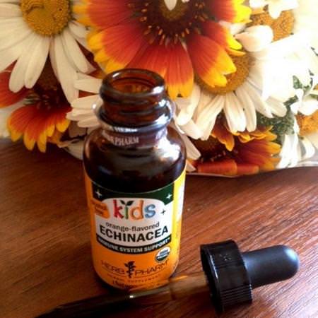 Herb Pharm, Kids Echinacea, Alcohol-Free, Orange-Flavored, 1 fl oz (30 ml)