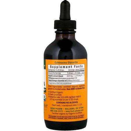 Echinacea, Homeopati, Örter, Hosta: Herb Pharm, Kids Echinacea, Alcohol Free, Orange-Flavored, 4 fl oz (120 ml)