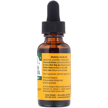 Barn Örter, Homeopati, Örter, Öronvård: Herb Pharm, Mullein Garlic Oil, For Kids, 1 fl oz (30 ml)