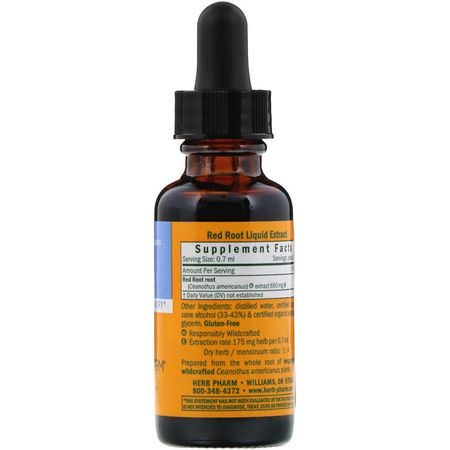 Röda Rötter, Homeopati, Örter: Herb Pharm, Red Root, 1 fl oz (30 ml)
