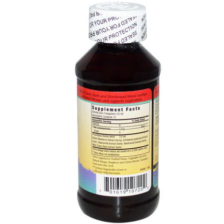 Barn Örter, Homeopati, Örter: Herbs for Kids, Sugar Free Elderberry Syrup, Cherry-Berry Flavor, 4 fl oz (120 ml)