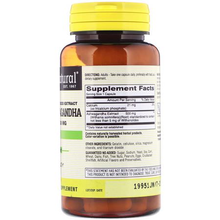 Ashwagandha, Adaptogens, Homeopati, Örter: Mason Natural, Ashwagandha, Standardized Extract, 500 mg, 60 Capsules