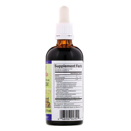 Echinacea, Homeopati, Örter, Influensa: Natural Factors, Anti-V Formula, with Clinically Proven Echinamide, 3.4 fl oz (100 ml)