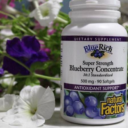 Natural Factors Blueberry Supplements, Homeopathy, Örter