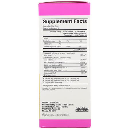Echinacea, Homeopati, Örter, Influensa: Natural Factors, Echinamide Active Support, Honey Lemon Syrup, 5 fl oz (150 ml)