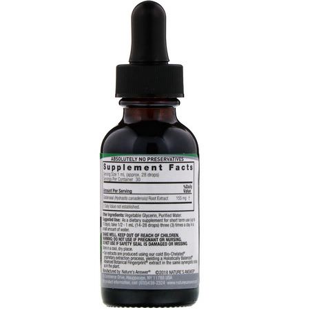 Goldenseal, Homeopathy, Örter: Nature's Answer, Goldenseal Extract, Alcohol Free, 500 mg, 1 fl oz (30 ml)