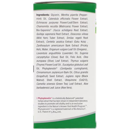 Spray, Skölj, Munvatten, Munvård: Nature's Answer, PerioBrite Cleanse, Oral Cleansing Concentrate, Coolmint, 4 fl oz (120 ml)